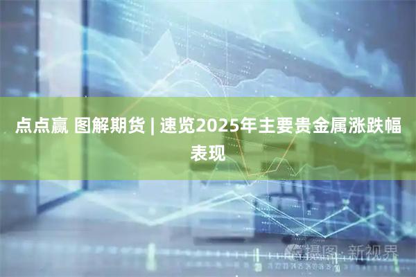 点点赢 图解期货 | 速览2025年主要贵金属涨跌幅表现