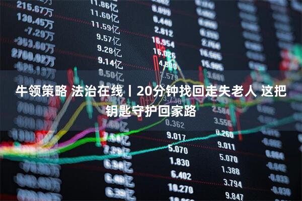 牛领策略 法治在线丨20分钟找回走失老人 这把钥匙守护回家路